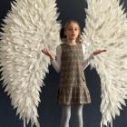 zdjęcie nr 25