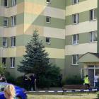 zdjęcie nr 14