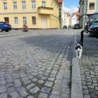 zdjęcie nr 12