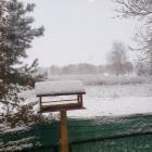 zdjęcie nr 8