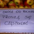 zdjęcie nr 110