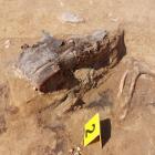 fot. Pracownia Badań Historycznych i Archeologicznych Pomost
