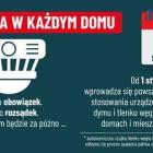 Fotka nr 4 z 5