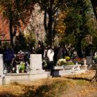 zdjęcie nr 46