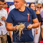 zdjęcie nr 13