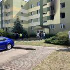 Fotka nr 2 z 15
