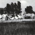 zdjęcie nr 11