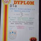 zdjęcie nr 10