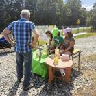 Fotka nr 0 z 2