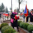 zdjęcie nr 15