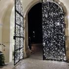 Fotka nr 4 z 5