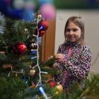 fot. Brzeg Dolny