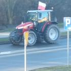 Fotka nr 3 z 17