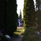 zdjęcie nr 38