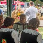 zdjęcie nr 52