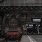 Fotka nr 1 z 3