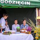 zdjęcie nr 18