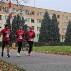 zdjęcie nr 24