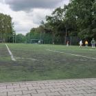 Fotka nr 5 z 6