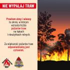 zdjęcie nr 18