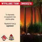 zdjęcie nr 22