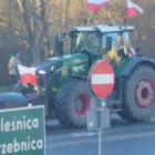 zdjęcie nr 14