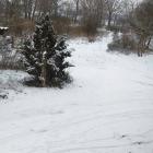 zdjęcie nr 17