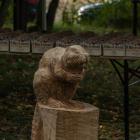zdjęcie nr 276