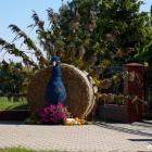 zdjęcie nr 9
