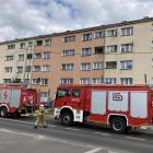 Fotka nr 1 z 4
