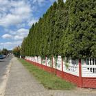 zdjęcie nr 7