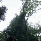 zdjęcie nr 4