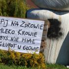 zdjęcie nr 39