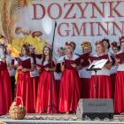 zdjęcie nr 14