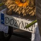 zdjęcie nr 31