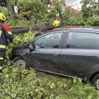 fot. OSP Lubiąż