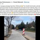 Fotka nr 4 z 6