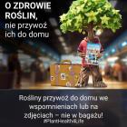 fot. PSSE w Wołowie