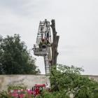 zdjęcie nr 255