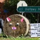 zdjęcie nr 38