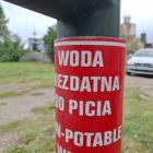 fot. Wińsko