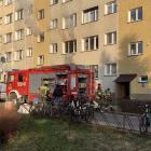 Fotka nr 2 z 18