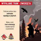 zdjęcie nr 21