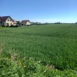 zdjęcie nr 