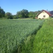 zdjęcie nr 