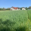 zdjęcie nr 