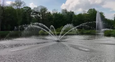 Ruiny dawnego mauzoleum i drzewa pamiętające arystokrację. Park w Brzegu Dolnym warto odkryć na nowo