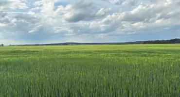 Przypomnienie przed wypoczynkiem na łonie natury: Kleszcze nie śpią