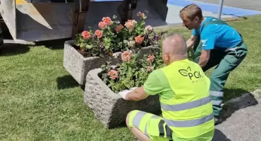 PGK zazielenia kolejne punkty na mapie Wołowa