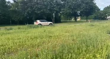 Kosić czy nie kosić? Zielona rewolucja dzieli mieszkańców, a w Wołowie pułapki na kierowców zastawił... Wrocław